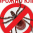 с 1 по 15 мая Роспотребнадзор проводит «горячую линию» по вопросам профилактики клещевого энцефалита - Администрация г. Бийск
