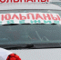 Почем тюльпаны: на улицах Бийска появились машины с цветами - Газета Бийский рабочий