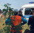 Стали известны подробности похищения 12-летней девочки в Бийском районе - Газета Бийские Ведомости