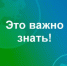 БУДЬ ЧЕСТЕН С СОБОЙ!  ЗАРАБАТЫВАЙ ОФИЦИАЛЬНО! СТАНЬ САМОЗАНЯТЫМ! - Администрация г. Бийск
