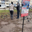 Кыш отсюда: в Алтайском крае появились таблички против кормления голубей - Газета Бийский рабочий