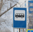 Остановка. Автобусы. - Газета Бийский рабочий