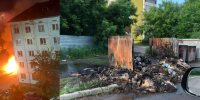 То крысы, то пожар: бийчане просят убрать несанкционированные свалки - Газета Бийский рабочий