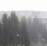 Ливни с градом и грозой могут обрушиться на Бийск в ближайшие сутки - Газета Бийский рабочий