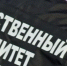 Новоалтайские следователи проверяют факт обнаружения останков ребенка - Газета Бийский рабочий