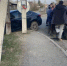 В Бийске женщина пострадала в ДТП - Газета Бийский рабочий