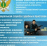 В отделение судебных приставов Приобского ОСП г. Бийска и Зонального района ГУ ФССП России по Алтайскому краю требуются судебные приставы-исполнители и дознаватели - МО г. Бийск