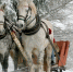 День Прокла: народные приметы на 3 декабря - Газета Бийский рабочий