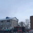 Елочный базар - Газета Бийский рабочий