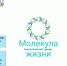 Приглашаем принять участие в биологическом турнире «Молекула жизни» - АГГПУ им. В.М. Шукшина
