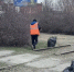 В Бийске приступили к весенней уборке и благоустройству - Газета Бийский рабочий