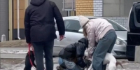 «Бойцовский» пес напал на другую собаку при детях в спальном районе Барнаула - Газета Бийский рабочий